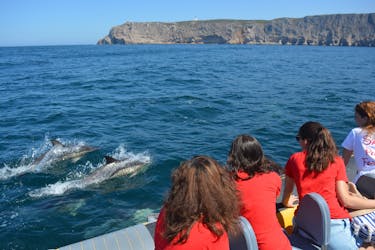 Passeio de barco com observação de golfinhos em Sesimbra